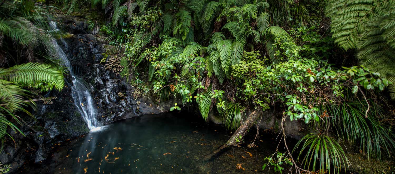 Spirex Energy Drain Heat Recovery System